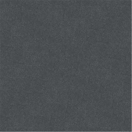 Pinpoint 604 Paint Brush 2 in. Bx-24 2 in. Paint Brush PI3652213